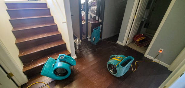 Best Professional water damage repair  in Providence, UT