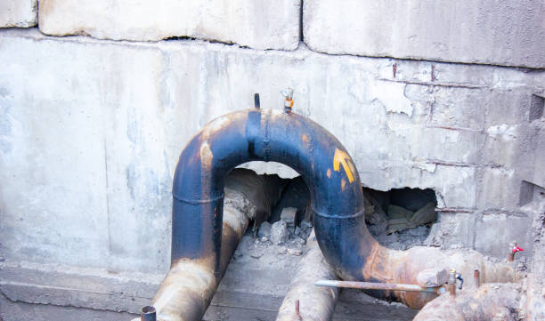 Best Mold removal after water damage  in Providence, UT