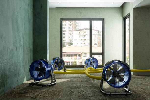 Best Sewage cleanup and water damage restoration  in Providence, UT